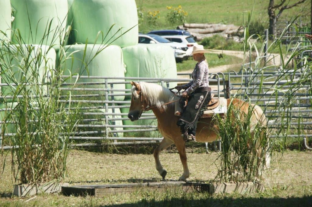 Swiss Ranch Horse Association - SRHA