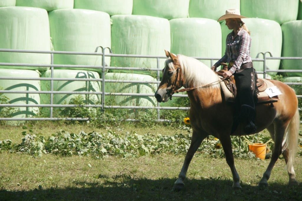 Swiss Ranch Horse Association - SRHA