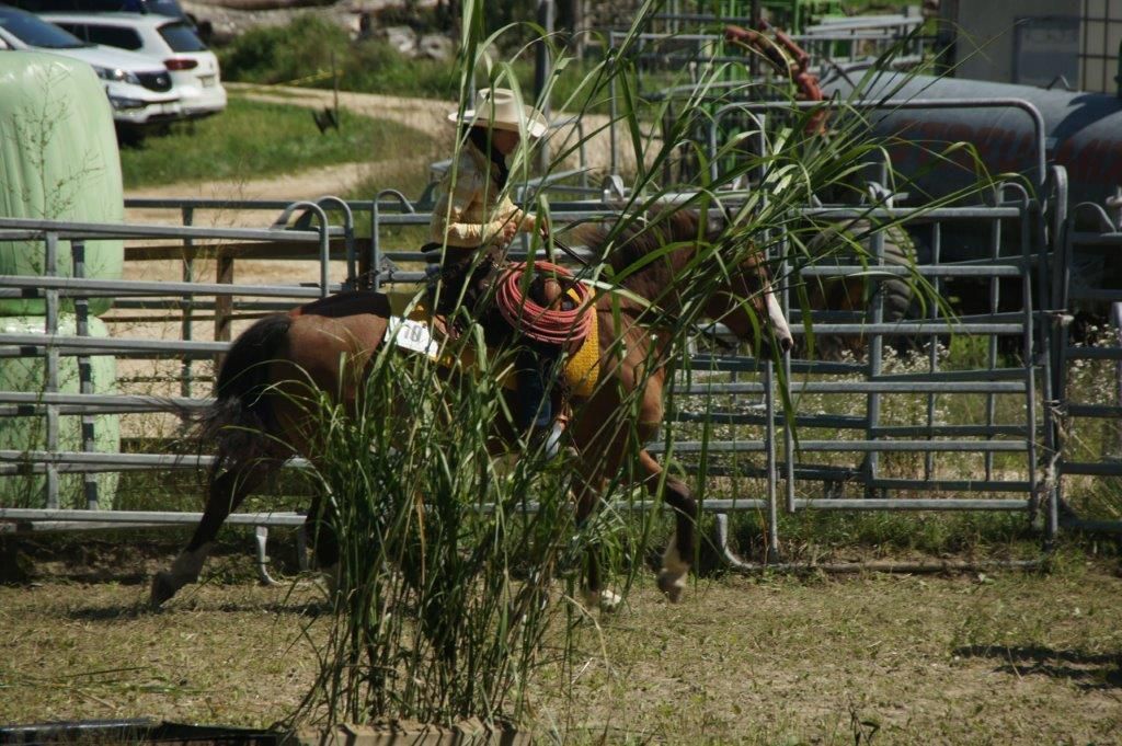 Swiss Ranch Horse Association - SRHA