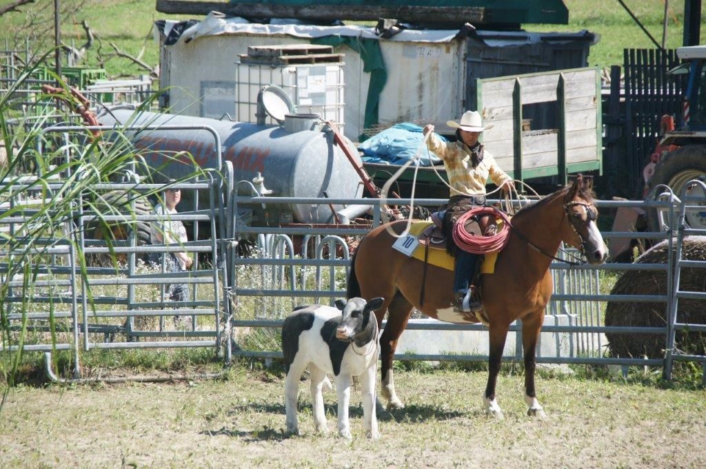 Swiss Ranch Horse Association - SRHA