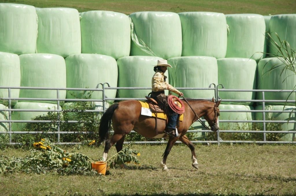 Swiss Ranch Horse Association - SRHA
