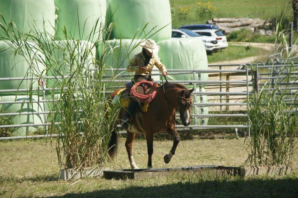 Swiss Ranch Horse Association - SRHA