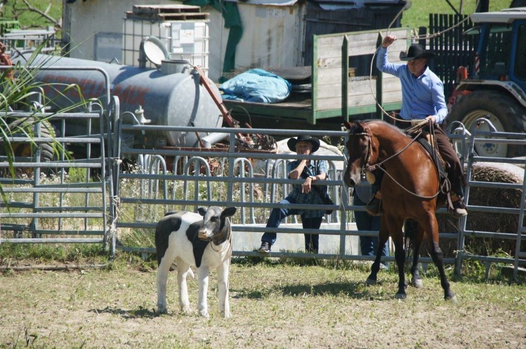Swiss Ranch Horse Association - SRHA
