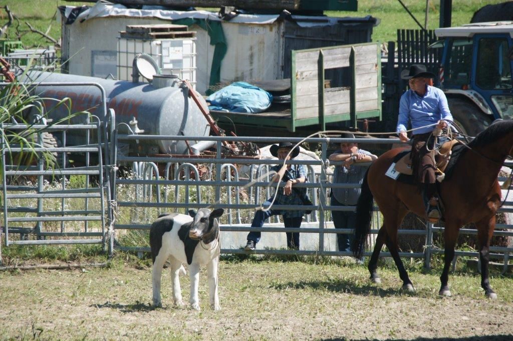 Swiss Ranch Horse Association - SRHA