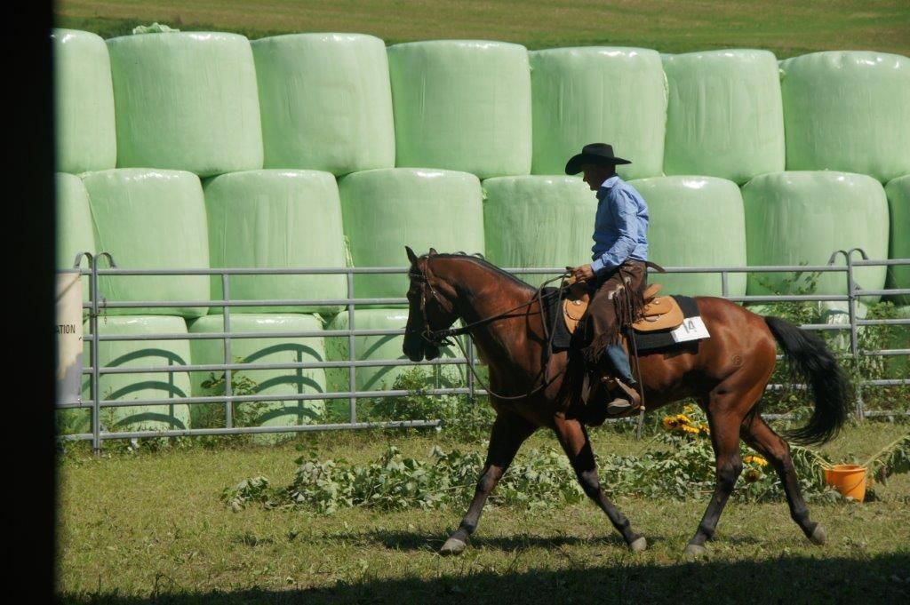 Swiss Ranch Horse Association - SRHA