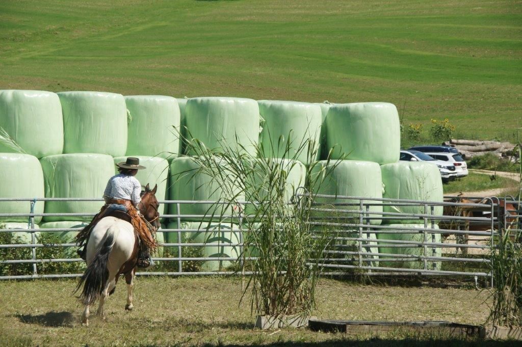 Swiss Ranch Horse Association - SRHA