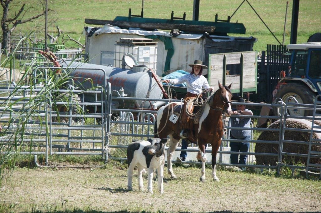Swiss Ranch Horse Association - SRHA