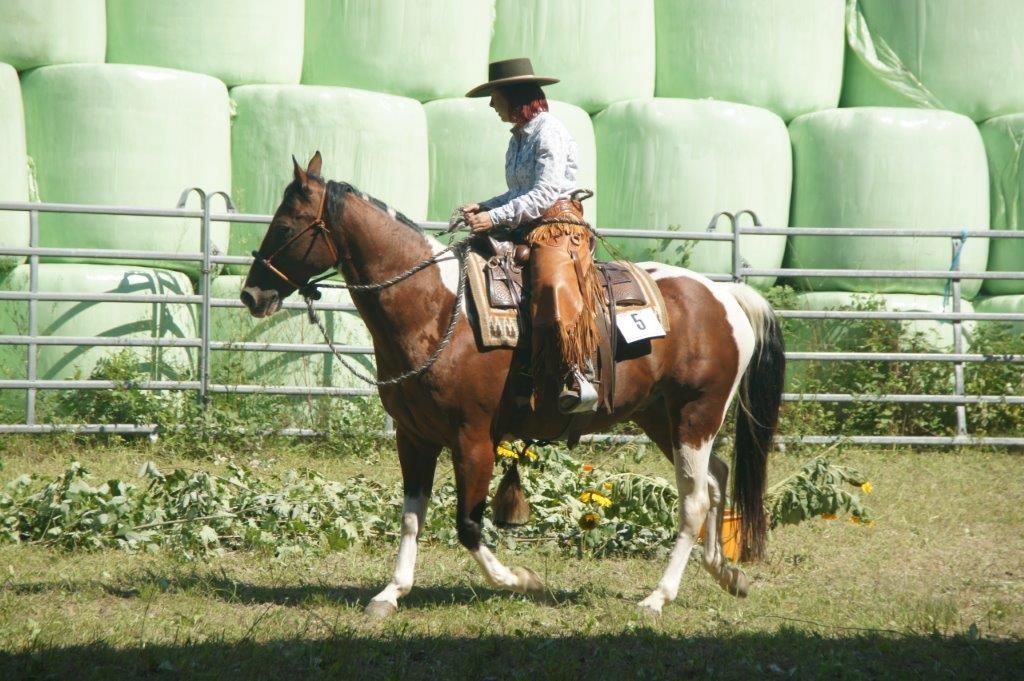 Swiss Ranch Horse Association - SRHA