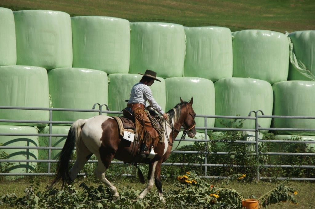 Swiss Ranch Horse Association - SRHA