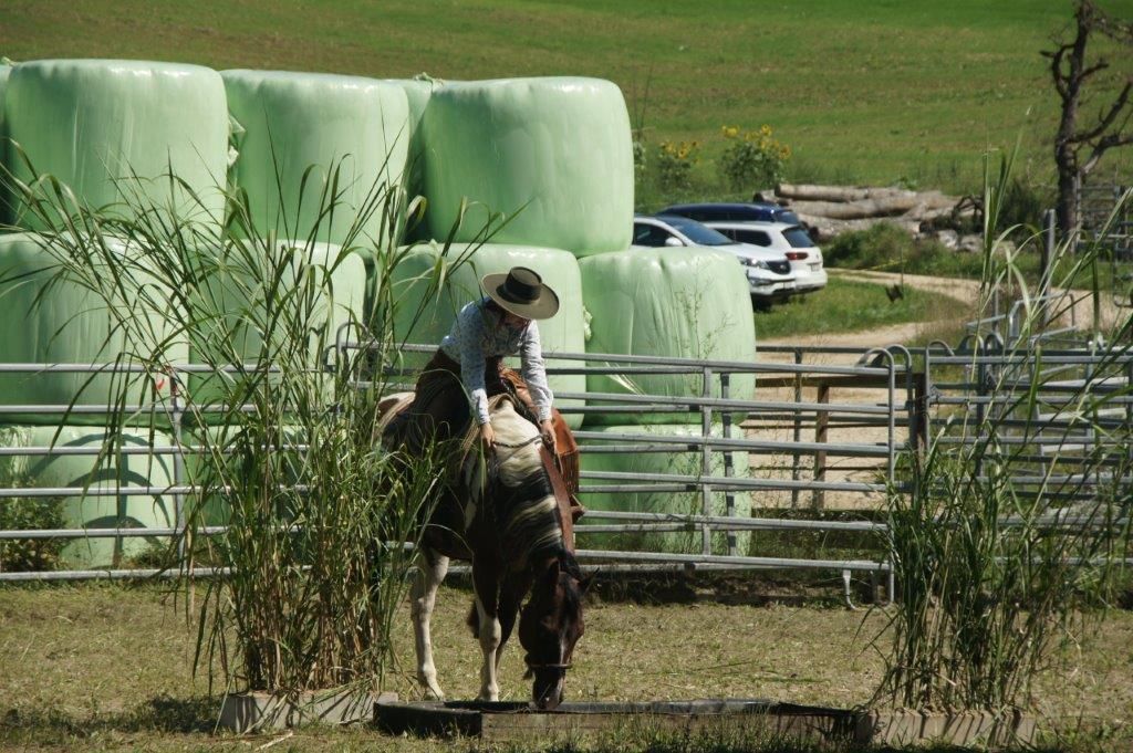 Swiss Ranch Horse Association - SRHA
