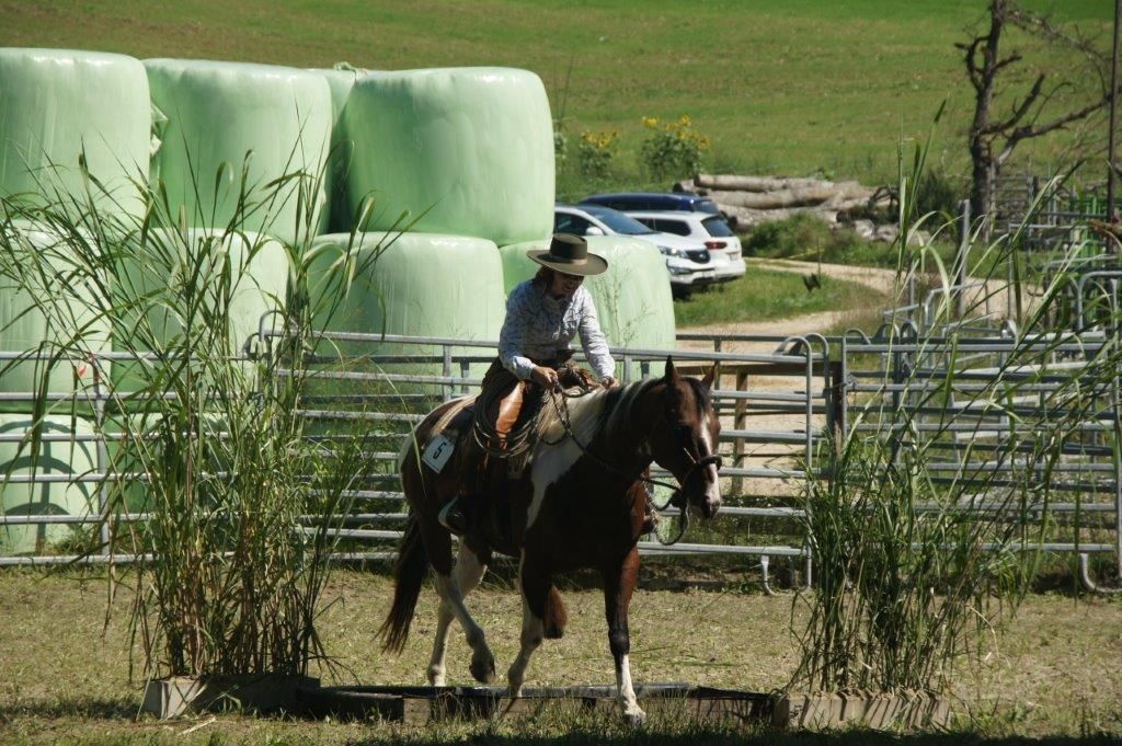 Swiss Ranch Horse Association - SRHA