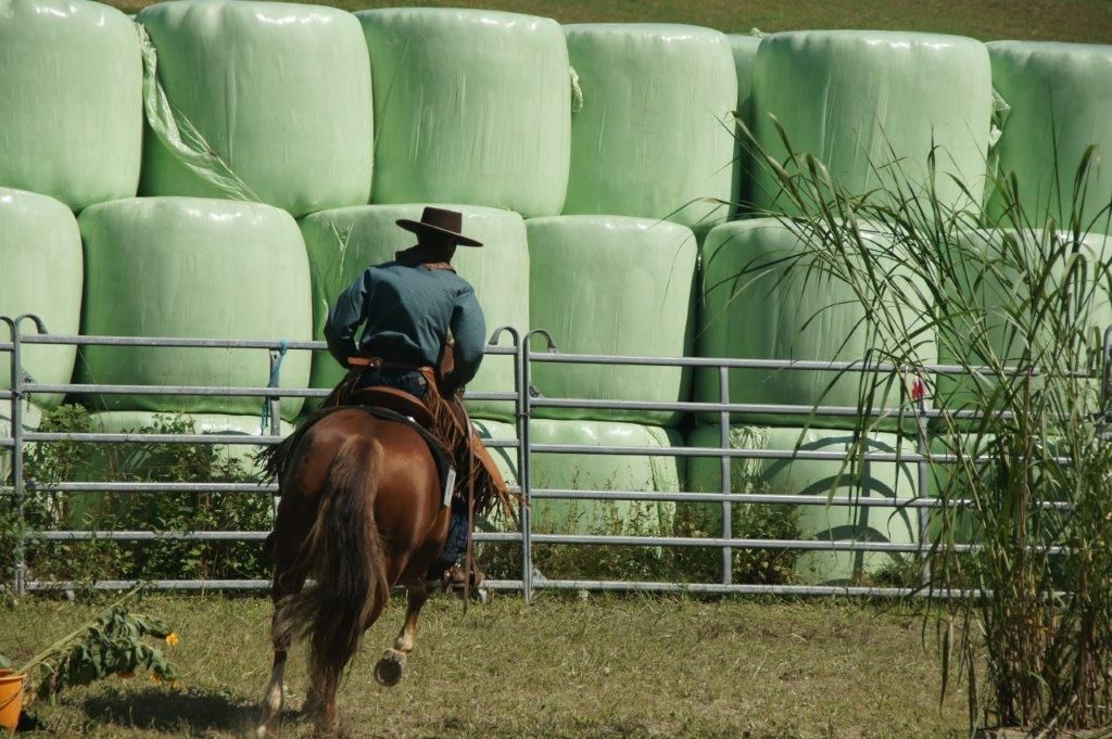 Swiss Ranch Horse Association - SRHA