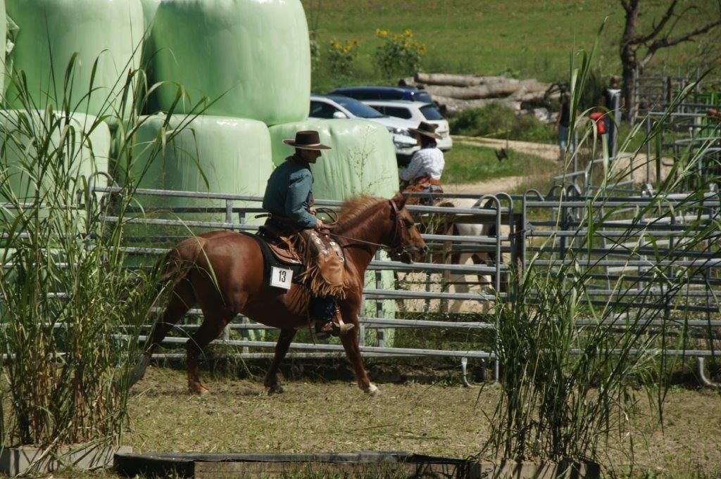 Swiss Ranch Horse Association - SRHA