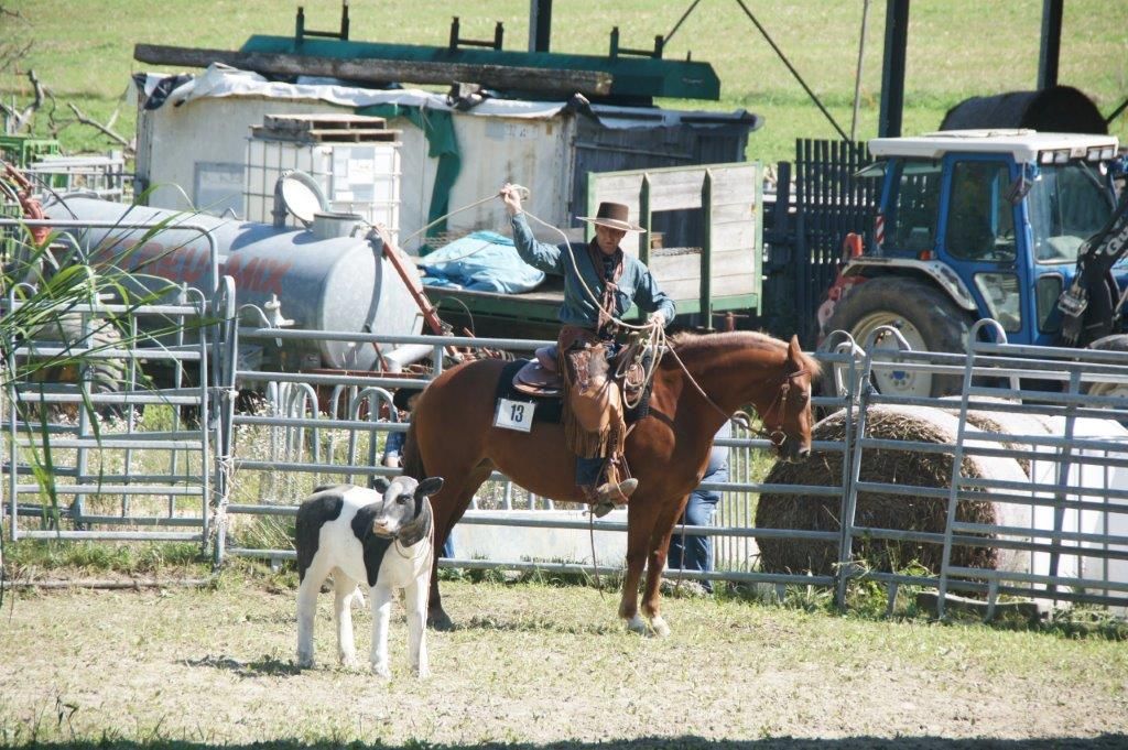 Swiss Ranch Horse Association - SRHA