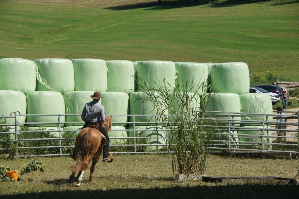 Swiss Ranch Horse Association - SRHA