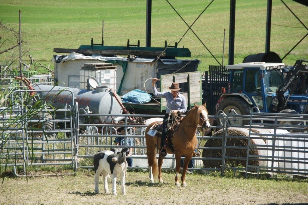 Swiss Ranch Horse Association - SRHA