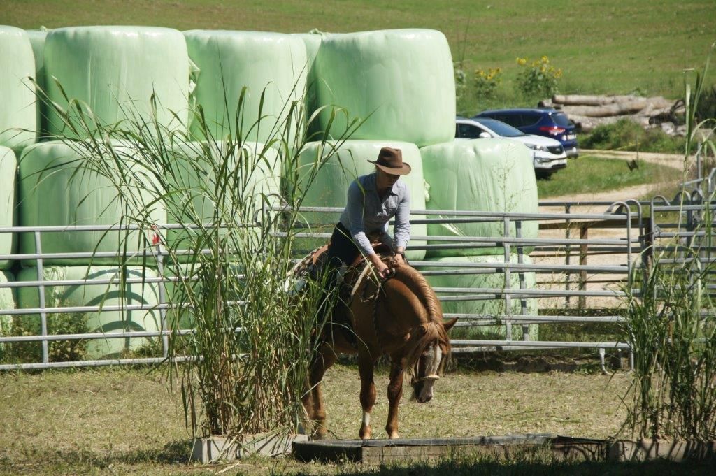 Swiss Ranch Horse Association - SRHA