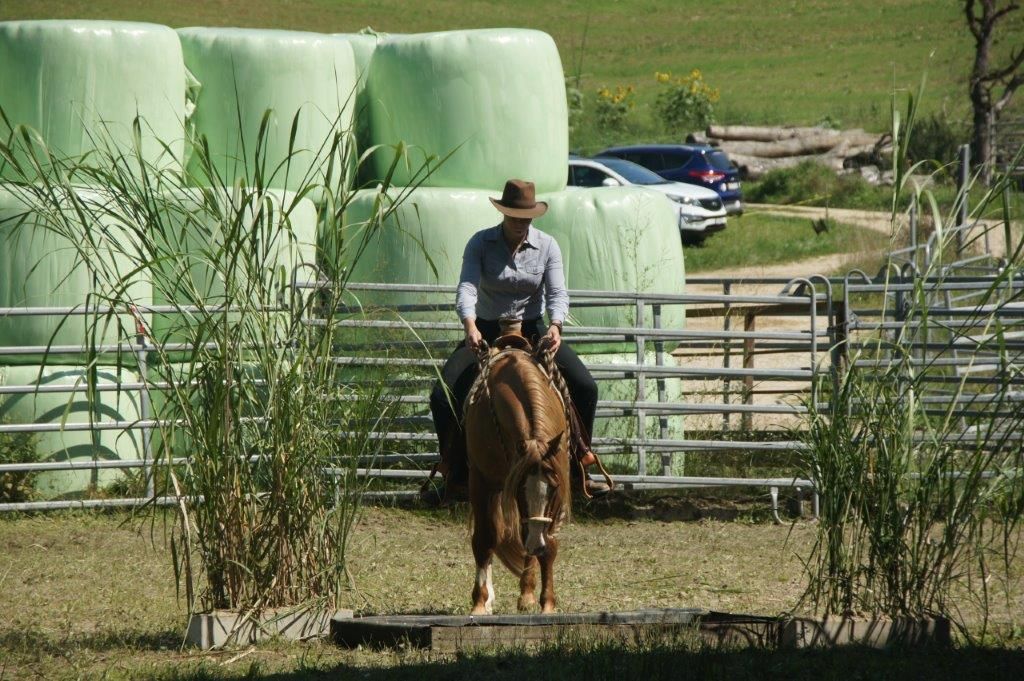 Swiss Ranch Horse Association - SRHA