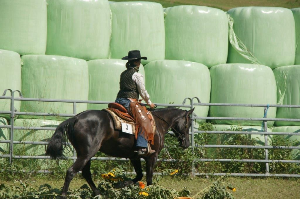 Swiss Ranch Horse Association - SRHA