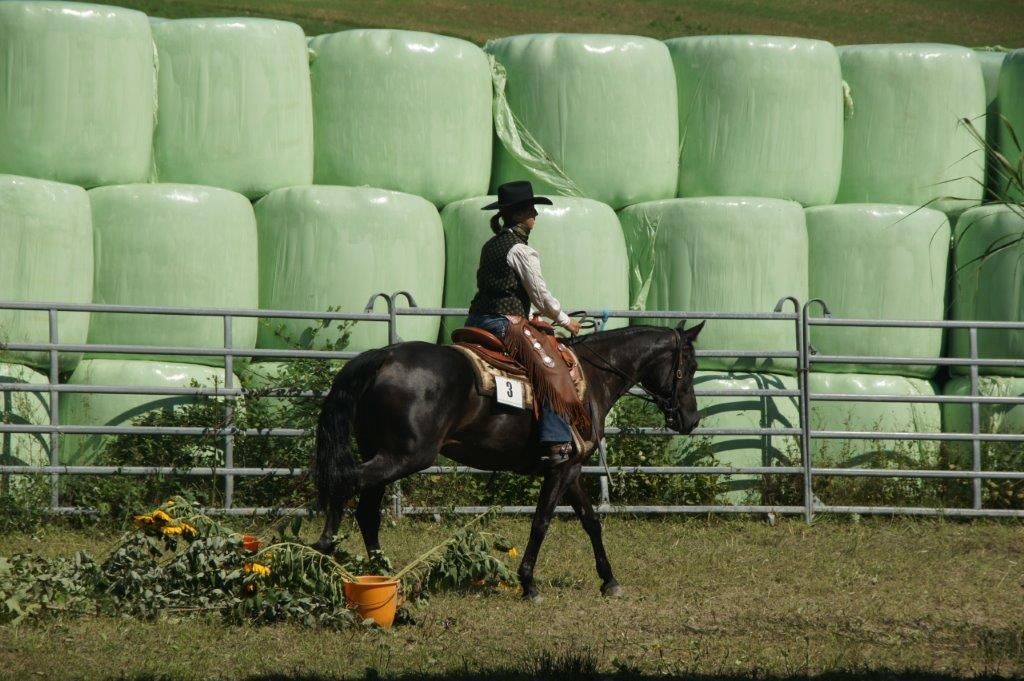 Swiss Ranch Horse Association - SRHA