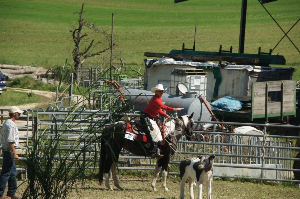 Swiss Ranch Horse Association - SRHA