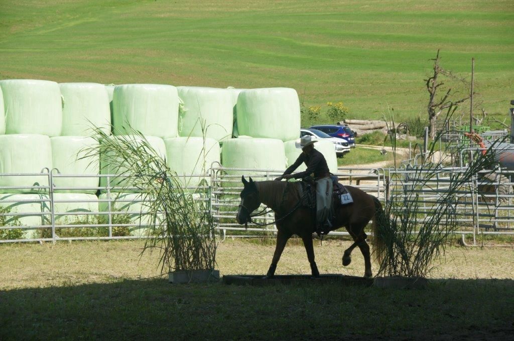 Swiss Ranch Horse Association - SRHA