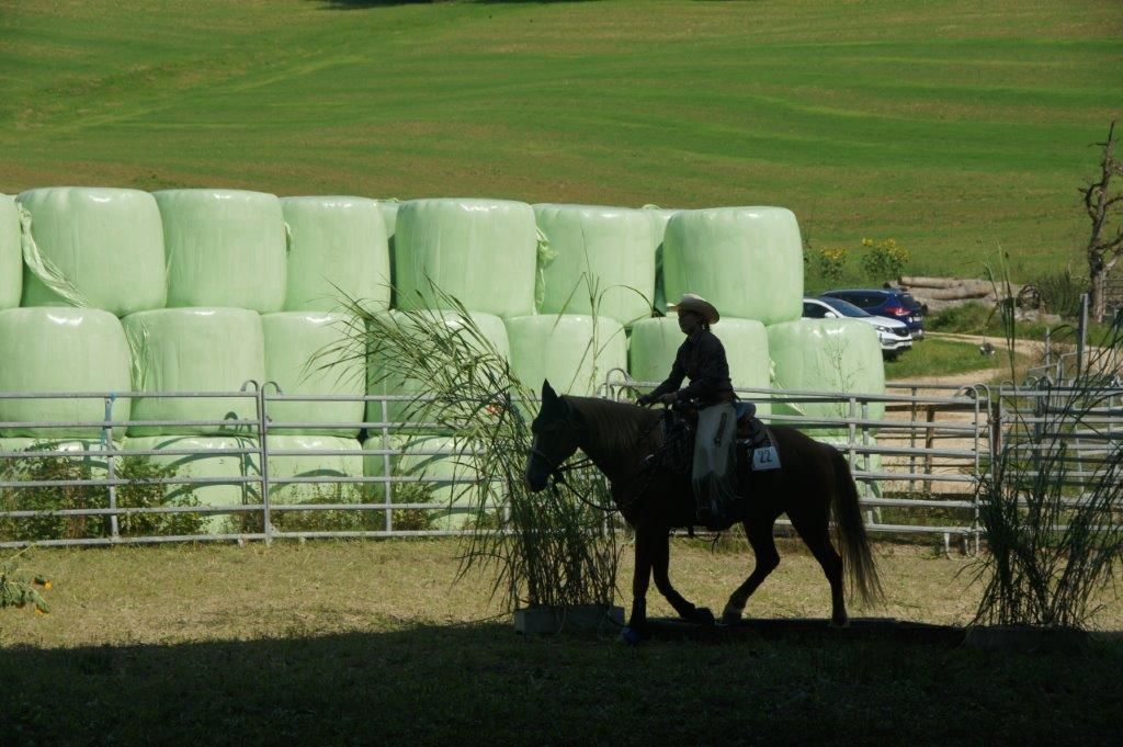 Swiss Ranch Horse Association - SRHA