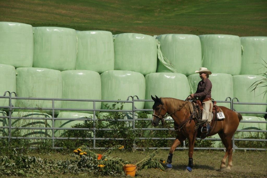 Swiss Ranch Horse Association - SRHA