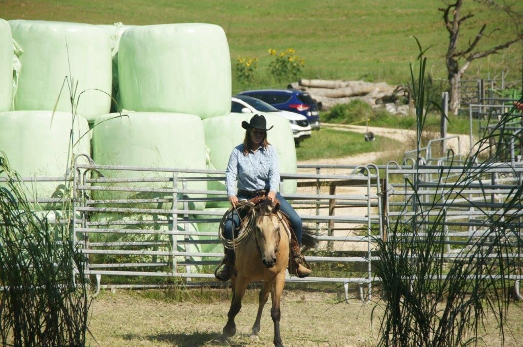 Swiss Ranch Horse Association - SRHA