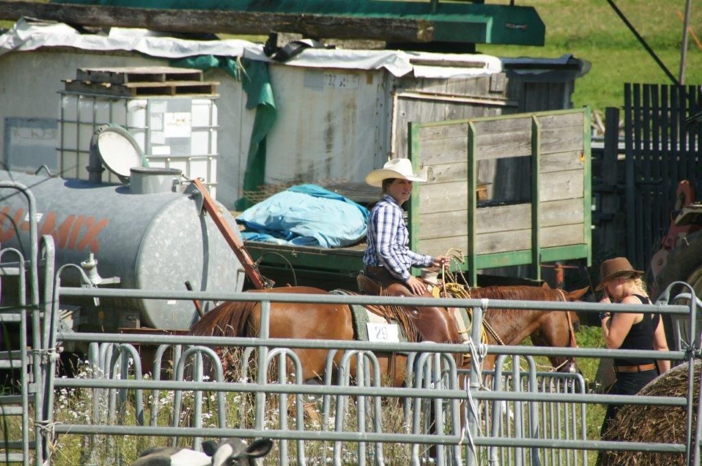 Swiss Ranch Horse Association - SRHA