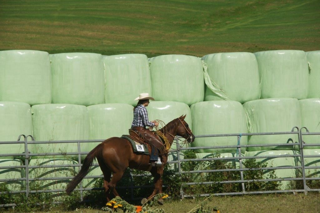 Swiss Ranch Horse Association - SRHA