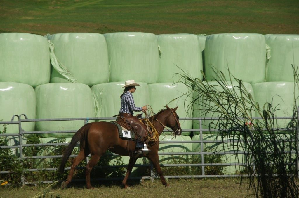 Swiss Ranch Horse Association - SRHA