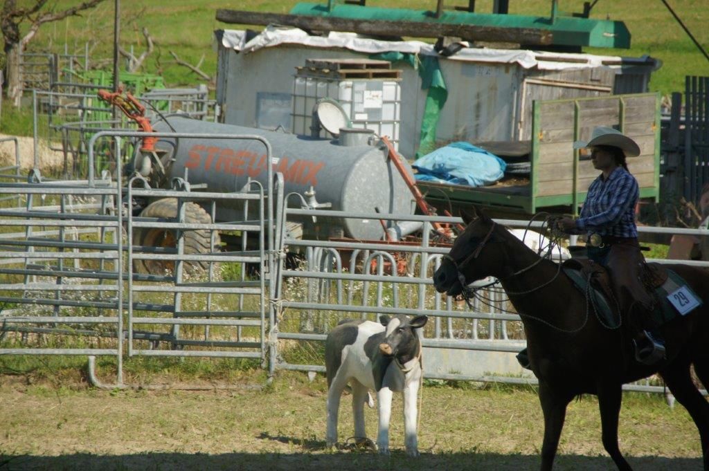 Swiss Ranch Horse Association - SRHA