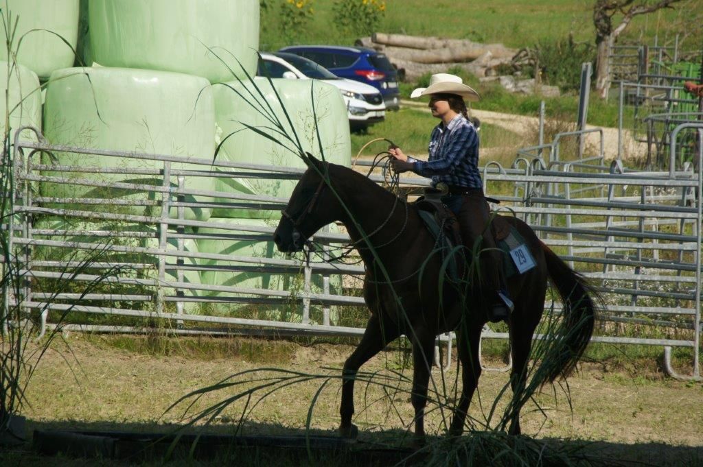 Swiss Ranch Horse Association - SRHA