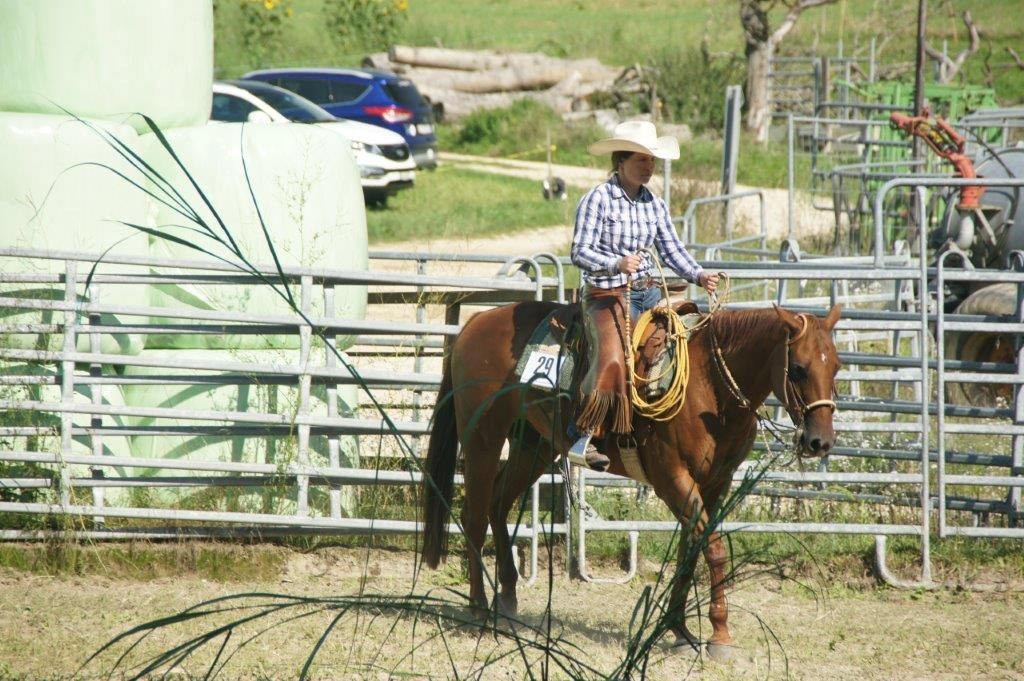 Swiss Ranch Horse Association - SRHA