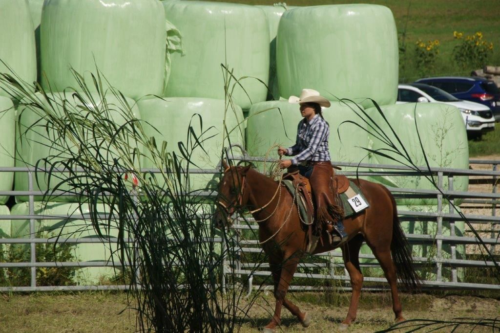 Swiss Ranch Horse Association - SRHA