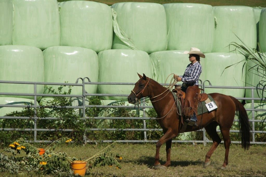Swiss Ranch Horse Association - SRHA