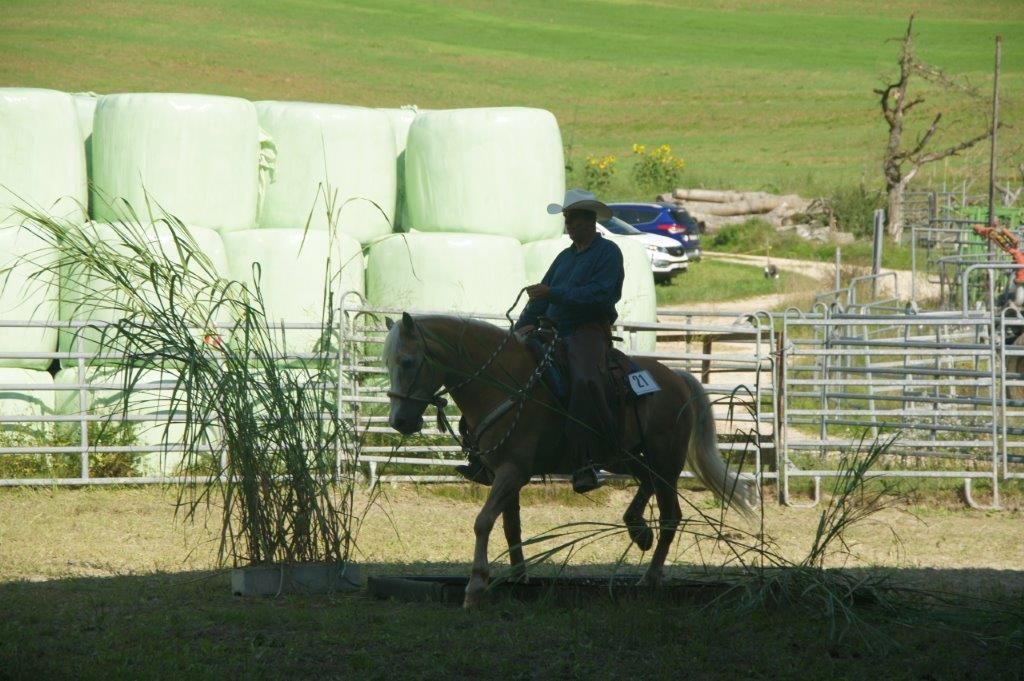 Swiss Ranch Horse Association - SRHA