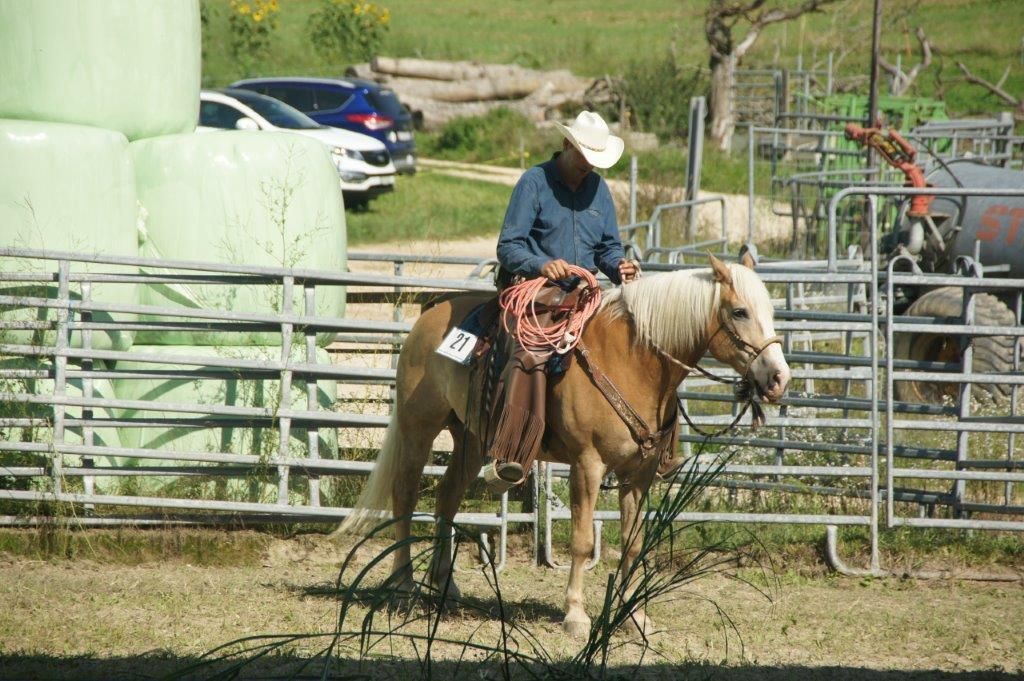 Swiss Ranch Horse Association - SRHA