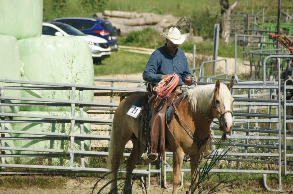 Swiss Ranch Horse Association - SRHA