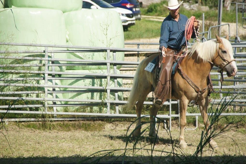 Swiss Ranch Horse Association - SRHA