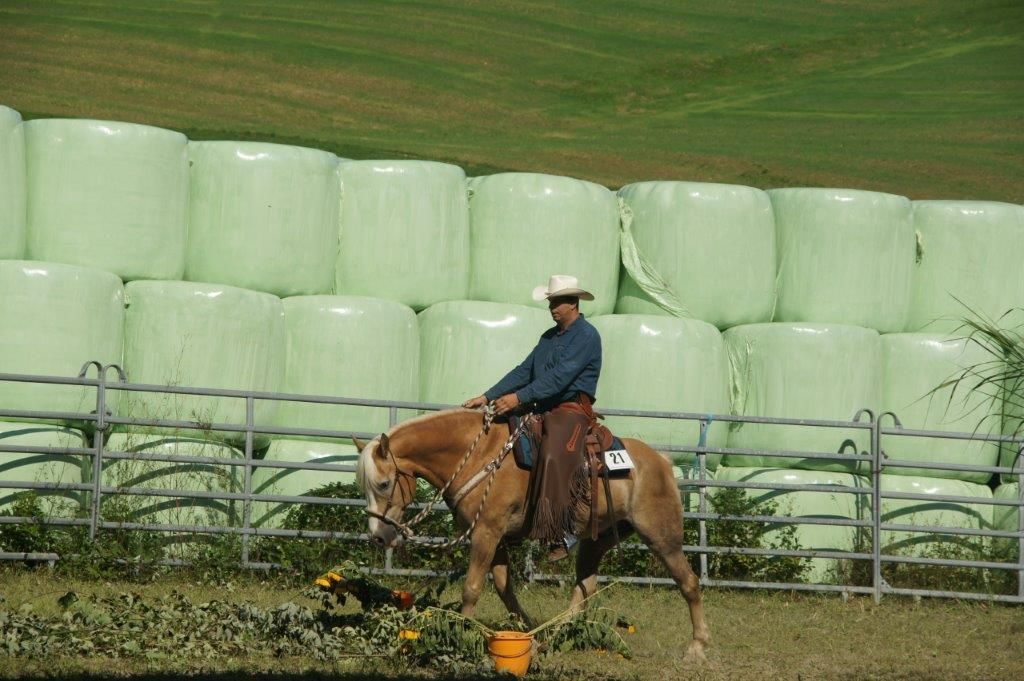 Swiss Ranch Horse Association - SRHA
