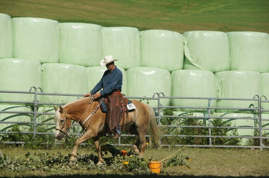 Swiss Ranch Horse Association - SRHA