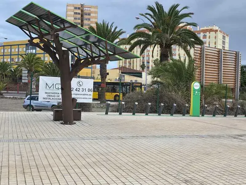 Una estación de carga solar con forma de árbol en una plaza, con un autobús y palmeras al fondo. La estación es marrón y verde.