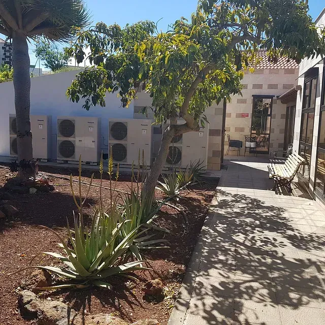 Un patio soleado con un pequeño árbol, plantas de aloe y una pared blanca con aire acondicionado. Un banco está cerca de la entrada de un edificio.