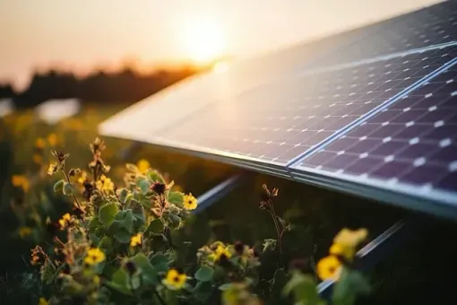 Panel solar en un campo de flores silvestres con el sol poniente al fondo.