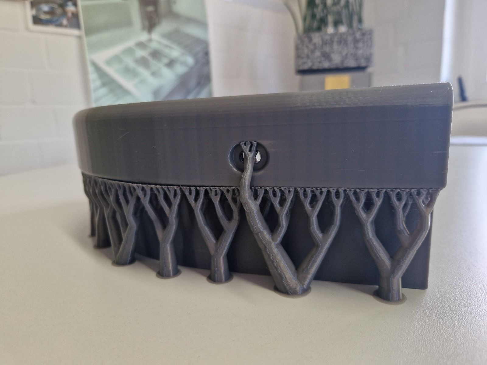 Dunkelgraue, 3D-gedruckte Box mit baumartigen Stützstrukturen an der Unterkante; auf einem weißen Schreibtisch platziert.