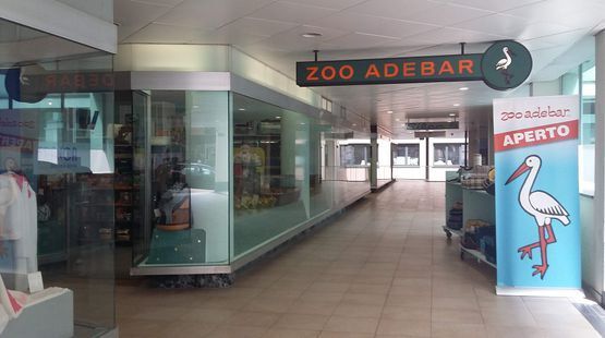 Vetrine negozio animali - Zoo Adebar