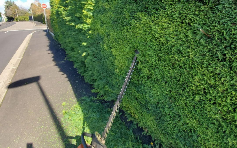 Taille-haie en train de tailler une haute haie verte le long d'un trottoir et d'une route par une journée ensoleillée.