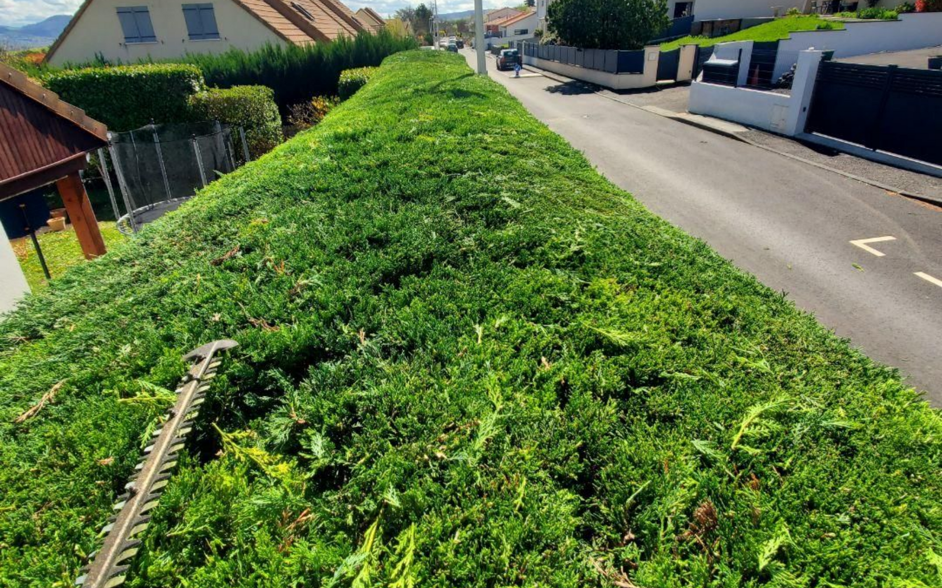 Taille d'une haie avec un taille-haie électrique en bordure de route, débris visibles.